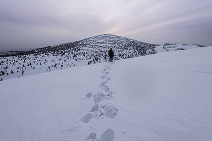 LAND特別賞　AkifumiHommaさんの作品「Snowy mountain traveler」